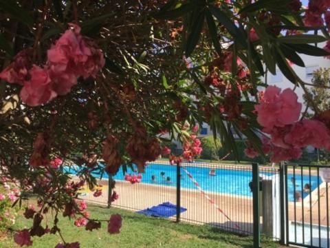 Apartamento Lesjardinsfleuris Mandelieu Exterior foto